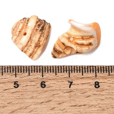 Natural Shell Bead Strands BSHE-P010-06-1