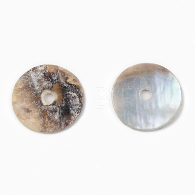 Natural Akoya Shell Beads SHEL-R048-028B-1