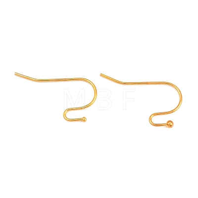 Brass Earring Hooks J0JQN-G-NF-1