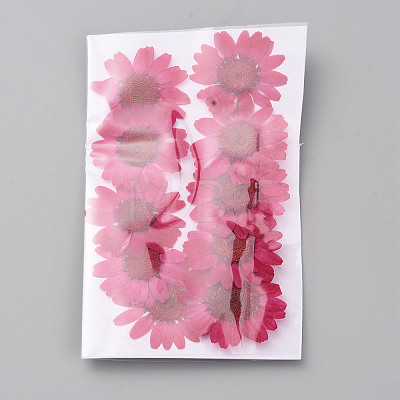 Pressed Dried Flowers DIY-WH0308-412A-1-1