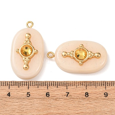 304 Stainless Steel Resin Pendants STAS-F352-01G-02-1