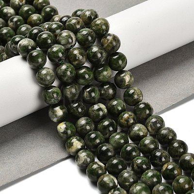 Natural Diopside Beads Strands G-R006-A01-02-1