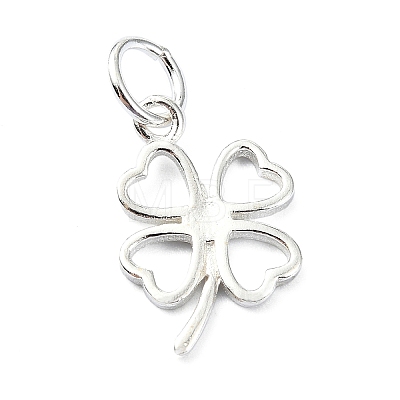 925 Sterling Silver Charms STER-M119-12S-1