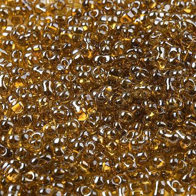 Glass Seed Beads SEED-K009-10B-02-1