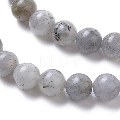 Natural Labradorite Beads Strands G-I261-D02-6mm-1
