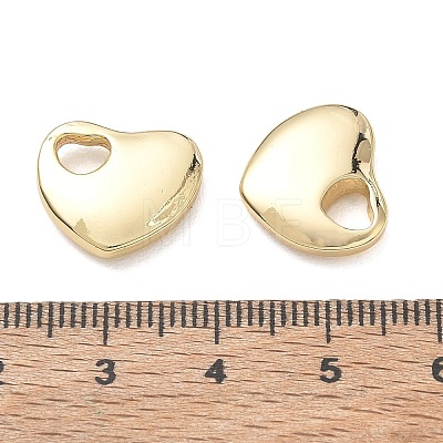 304 Stainless Steel Charms SA-CBA3037-20G-02-1