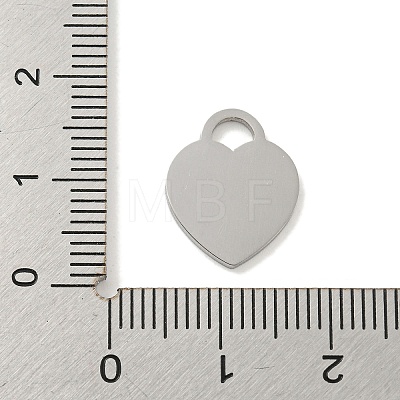 304 Stainless Steel Pendants FIND-M017-01P-Q-1