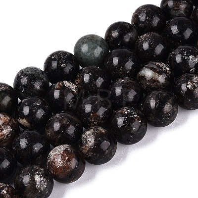 Natural Biotite Beads Strands G-Q616-01E-1