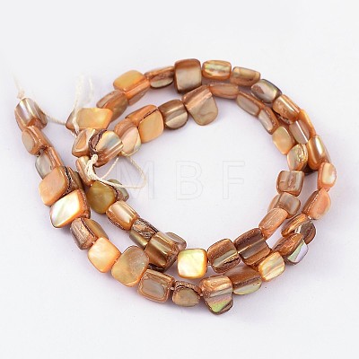 Natural Sea Shell Beads S00C50N2-1