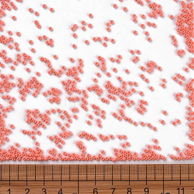 11/0 Grade A Baking Paint Glass Seed Beads X-SEED-N001-A-1005-1