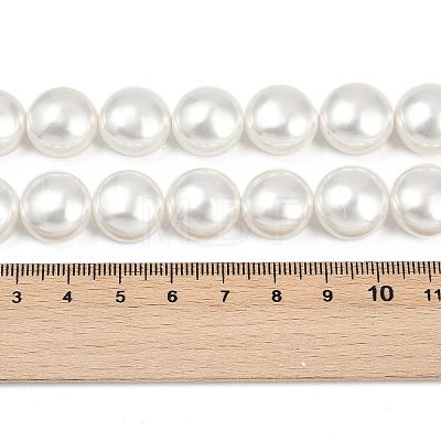 Electroplated Shell Pearl Beads Strands BSHE-G027-13C-1