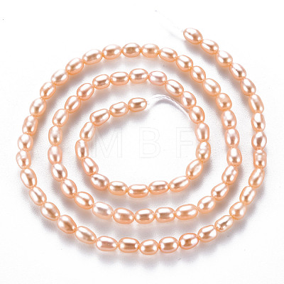 Natural Cultured Freshwater Pearl Beads Strands PEAR-N012-02C-1