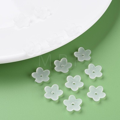 Transparent Acrylic Beads MACR-S373-118-D-1