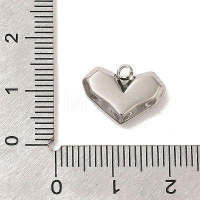 304 Stainless Steel Charms STAS-S131-06P-1