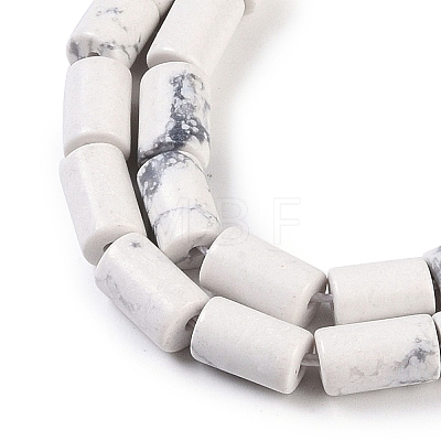 Natural Howlite Beads Strands G-C128-A37-01-1