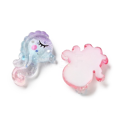 Transparent Resin Cabochons CRES-L050-02C-1