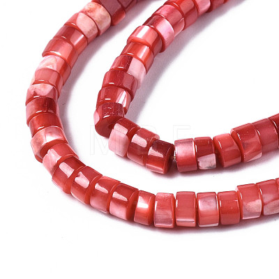 Natural Trochus Shell Beads Strands SHEL-S278-027D-1