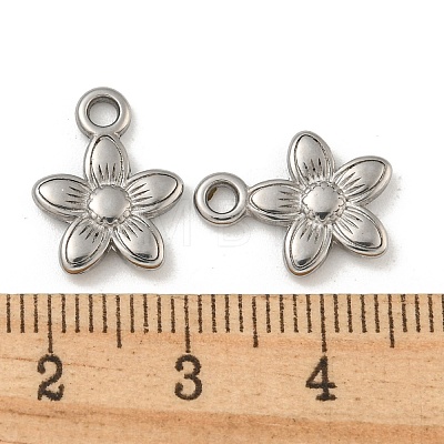 Non-Tarnish 304 Stainless Steel Charms STAS-N103-112P-1