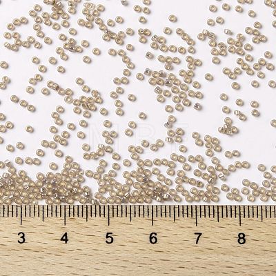 MIYUKI Round Rocailles Beads X-SEED-G009-RR2359-1