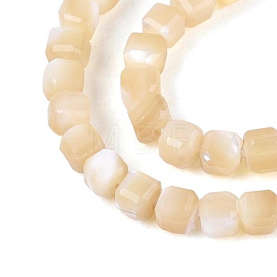 Natural Trochid Shell/Trochus Shell Beads Strands BSHE-T014-52A-02-1