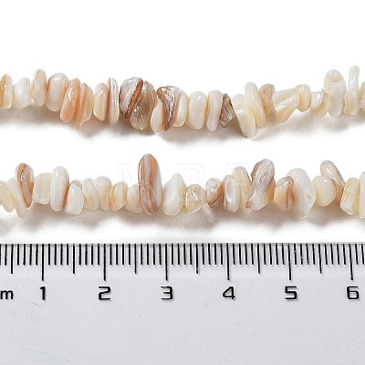 Natural Shell Beads Strands G-F328-45-1