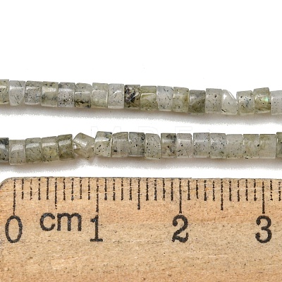 Natural Labradorite Beads Strands G-C084-D13-02-1