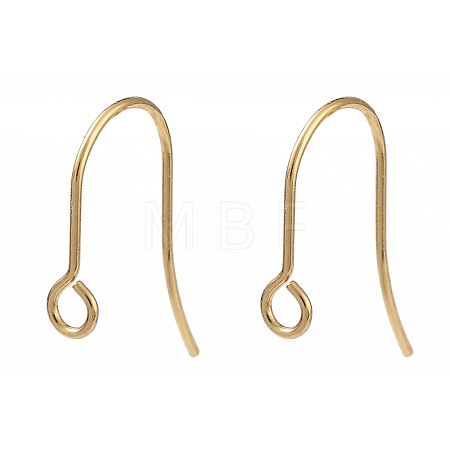 316 Surgical Stainless Steel Earring Hooks X-STAS-P162-13G-B01-1