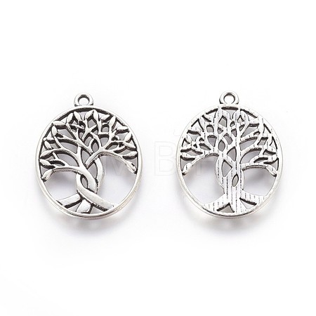 Tibetan Style Zinc Alloy Pendants PALLOY-P178-03AS-1