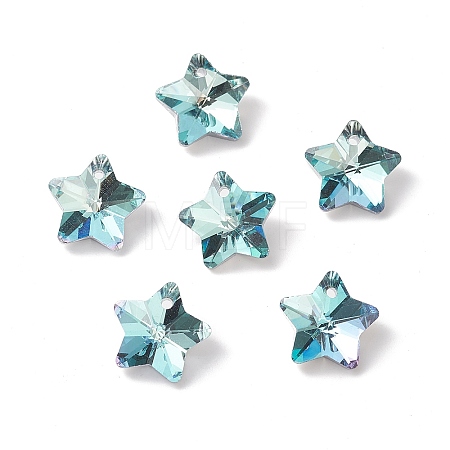 Electroplate Glass Charms GLAA-H104-A08-1