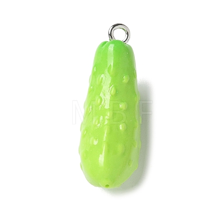 Resin Iron Pendants RESI-D280-12-1