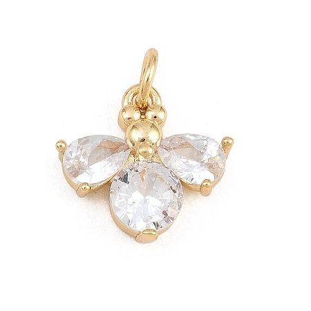 Brass Micro Pave Clear Cubic Zirconia Charms LS-KK-E798-08A-G-1