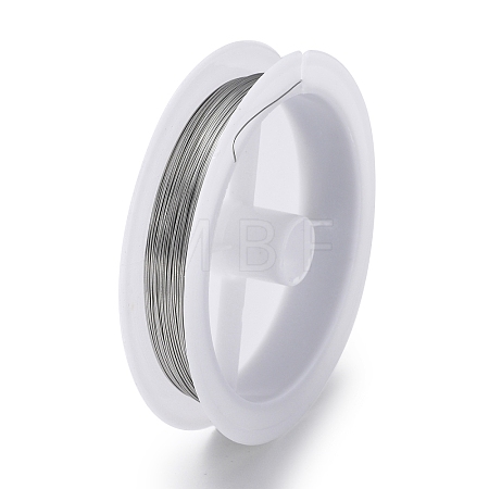 Non-Tarnish 10 Rolls 304 Stainless Steel Wire TWIR-H001-01A-P-1