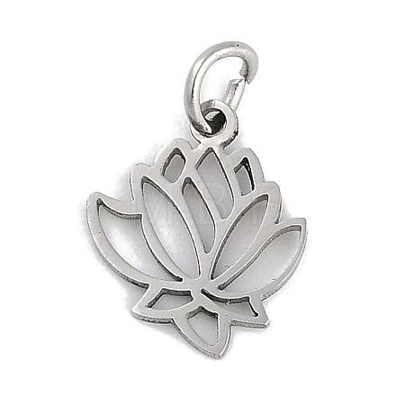 304 Stainless Steel Charms STAS-R135-12P-1