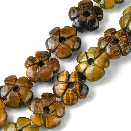 Natural Tiger Eye Beads Strands G-H023-B12-01-1