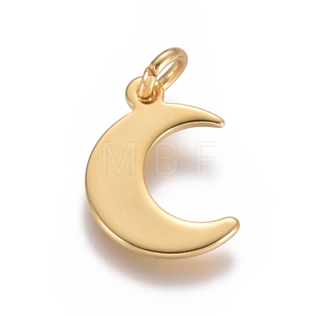 304 Stainless Steel Pendants STAS-D0002-24G-1
