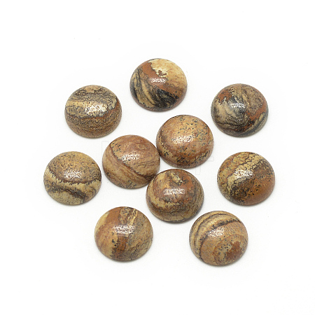 Natural Picture Jasper Cabochons X-G-R416-16mm-42-1