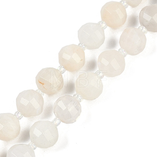 Natural White Moonstone Beads Strands G-G182-B09-05-1