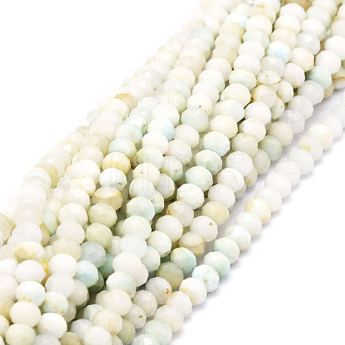 Natural Gemstone Beads  Strands G-E569-I20-1