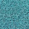 MIYUKI Delica Beads SEED-JP0008-DB0427-3