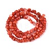 Natural Freshwater Shell Beads Strands SHEL-N037-04D-2