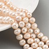 Natural Cultured Freshwater Pearl Beads Strands PEAR-C003-16A-2