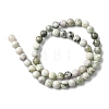 Natural Peace Jade Beads Strands X-G-E598-04B-3