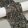 Natural Labradorite Beads Strands G-Q060-B02-1