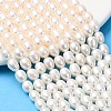 Natural Cultured Freshwater Pearl Beads Strands PEAR-F020-01B-1