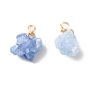 Natural Crystal Agate Pendants PALLOY-JF01366-03-1