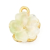 Alloy Glass Charms FIND-C079-05G-02-1