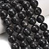 Natural Larvikite Beads Strands GSR18mmC128-1