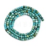 Natural Turquoise Dyed Beads Strands G-H070-A02-01-3