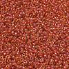 MIYUKI Round Rocailles Beads X-SEED-G007-RR0235-2