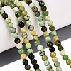 Natural Serpentine Beads Strands G-Q616-07A-1